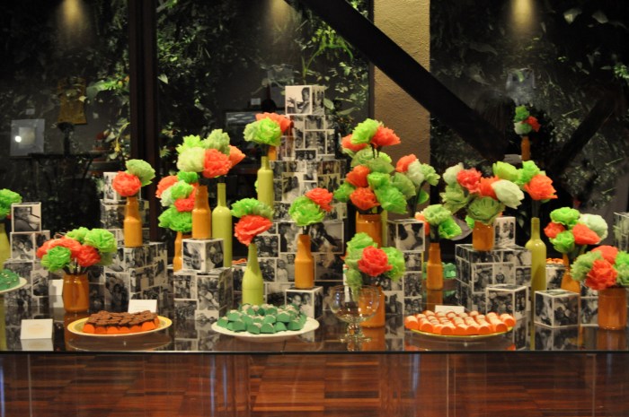 festa-fotografica-caritas-ana-sigaud-mesa-de-doces